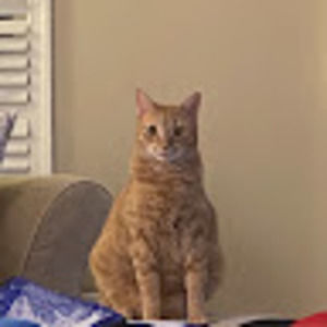 Meet your Posher, Emelyn